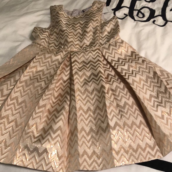 Tahari Other - Tahari Holiday Dress 6X-NWT